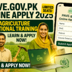 PAVE.gov.pk Online Apply 2025